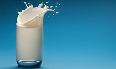 Why you should drink Milk